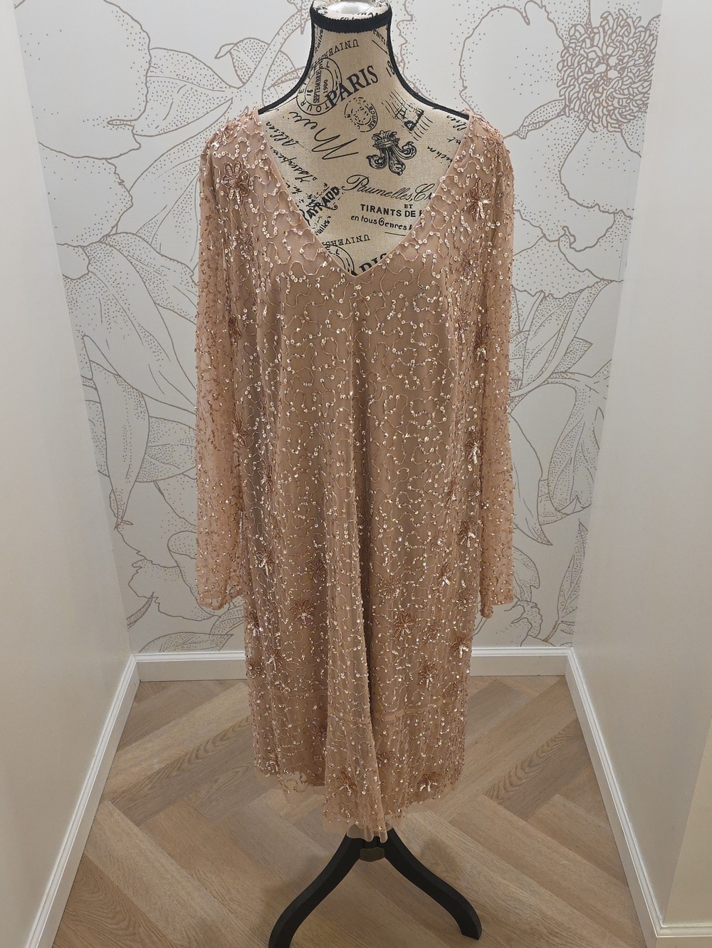 Adrianna Papell Beaded Cocktail Dress | Blush Champagne | Long Sleeve | Special